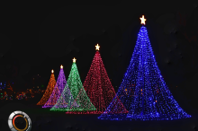 An image of illuminated outdoor tree-shaped Christmas decorations