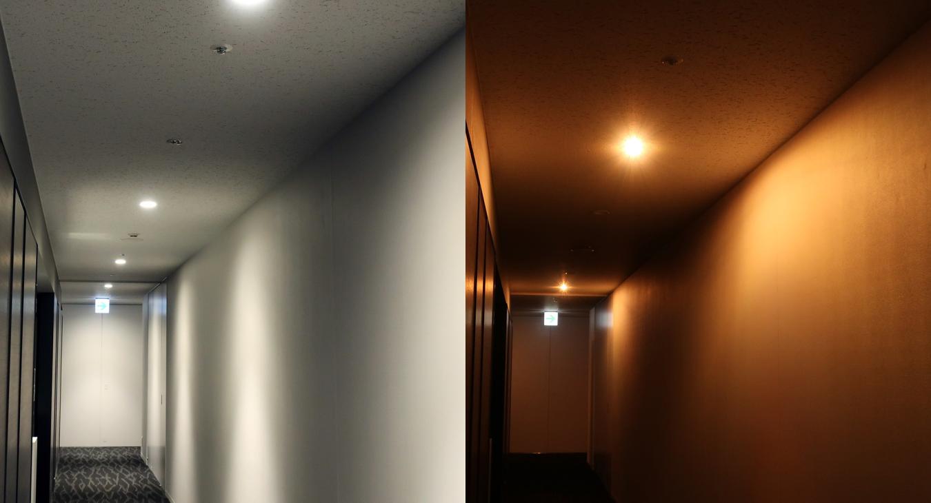 emergency lighting in hallway in Nottingham