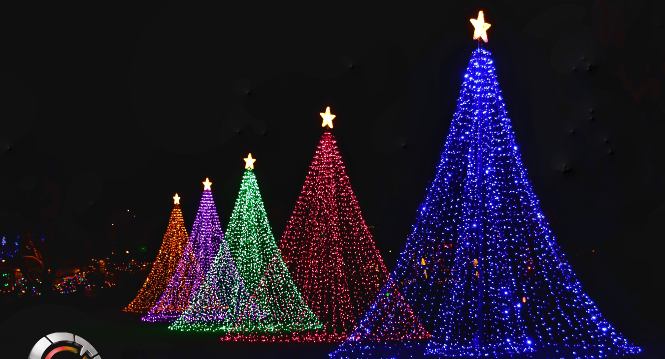 An image of illuminated outdoor tree-shaped Christmas decorations